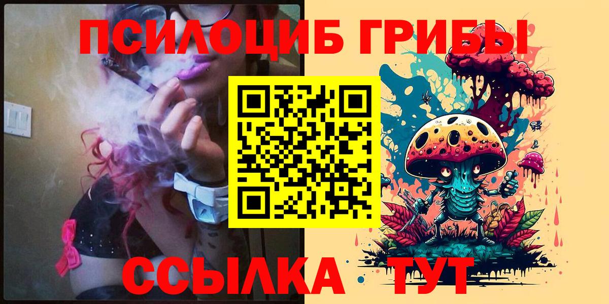 Кушва  Псилоцибиновые грибы Psilocybine cubensis  Вход с VPN 