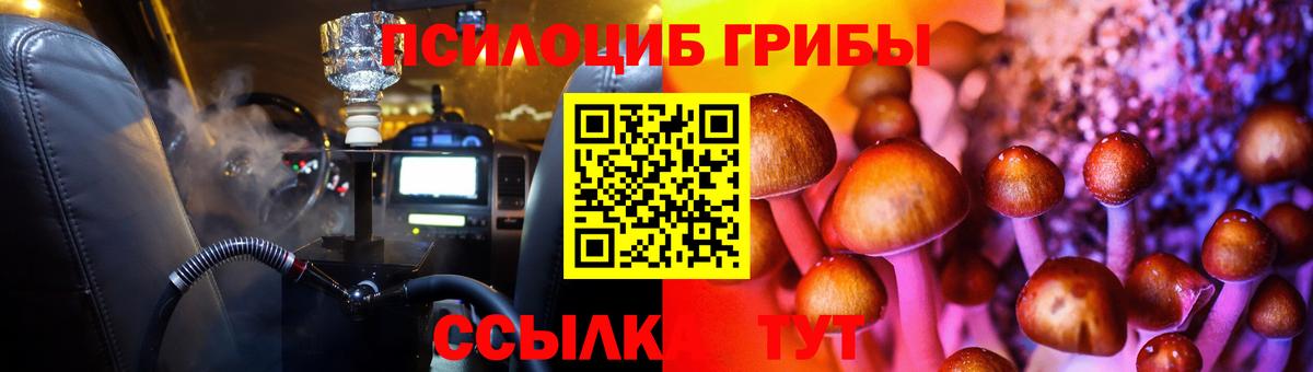 Псилоцибиновые грибы GOLDEN TEACHER Кушва